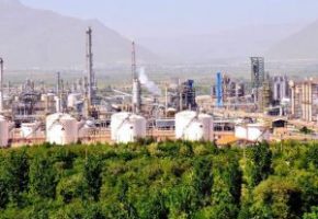 Shazand-e1548752394418-300x214